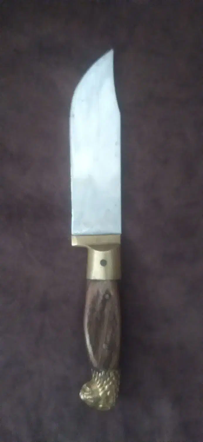 چاقوی دسته شاخ شیر|کلکسیون اشیاء عتیقه|قرچک, داوود آباد|دیوار