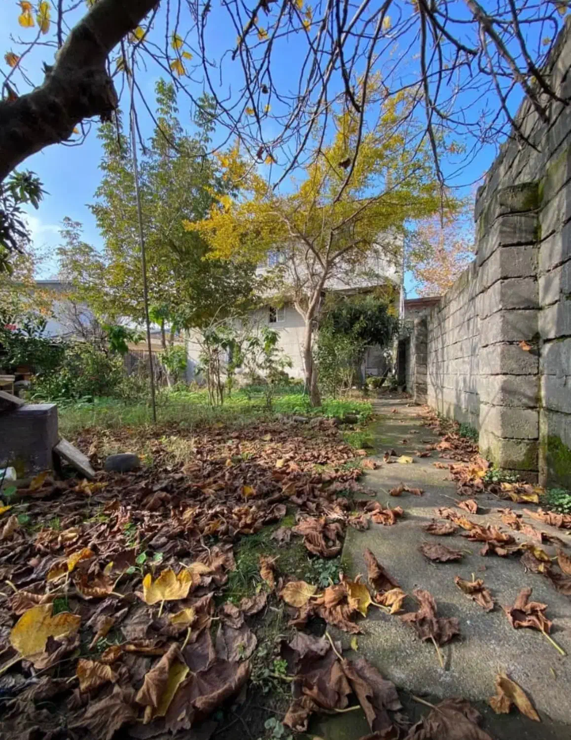 فروش ساختمان تجاری و مسکونی کنار خیابان اصلی|فروش زمین و ملک کلنگی|رضوانشهر, |دیوار