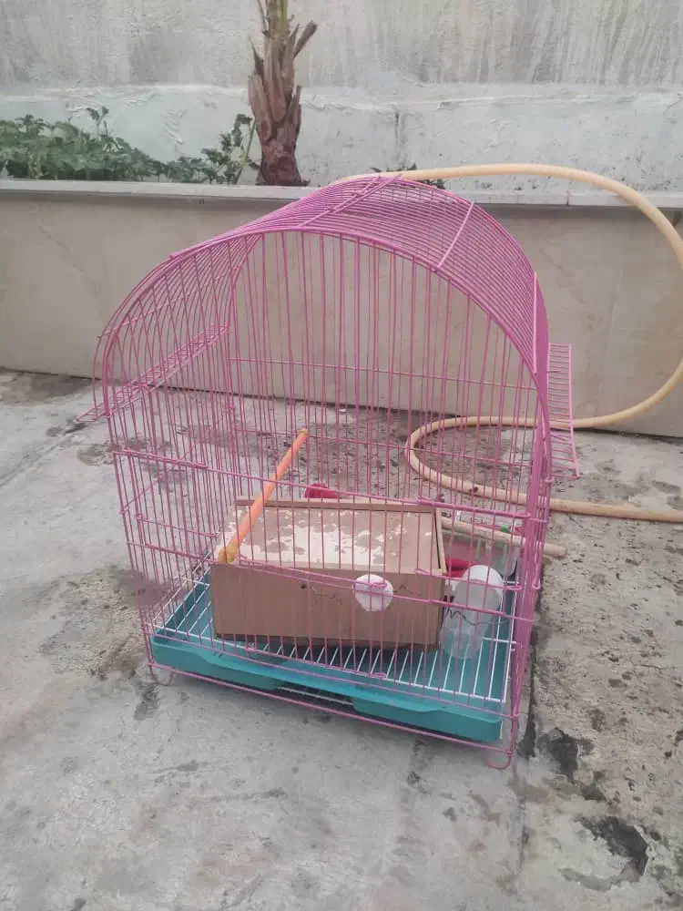 قفس پرنده|لوازم جانبی حیوانات|شاهدشهر, |دیوار