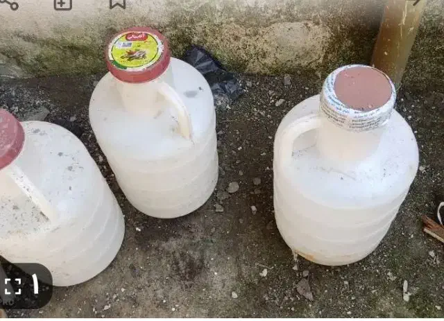 دبه خیارشور شور ۲۵|ظروف نگهدارنده، پلاستیکی، یک‌بارمصرف|لاهیجان, بازکیاگوراب|دیوار