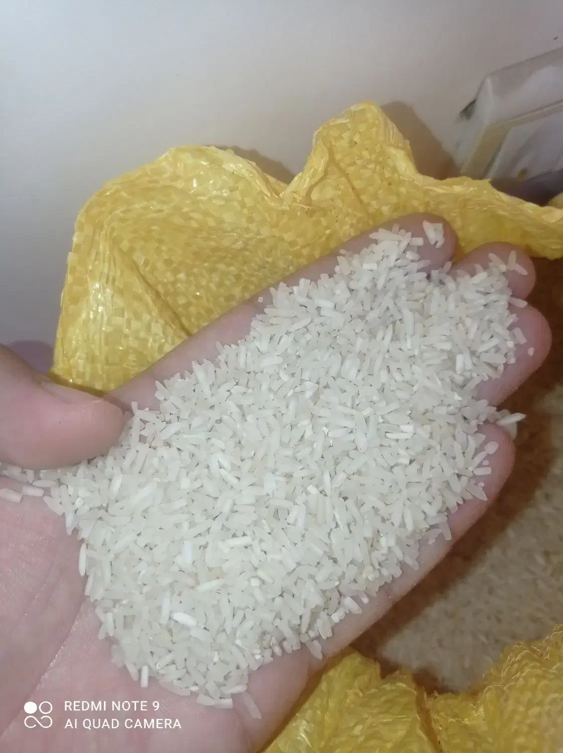 جشنواره فروش برنج سرلاشه طارم به قیمت سر شالیزار|خوردنی و آشامیدنی|اراک, |دیوار