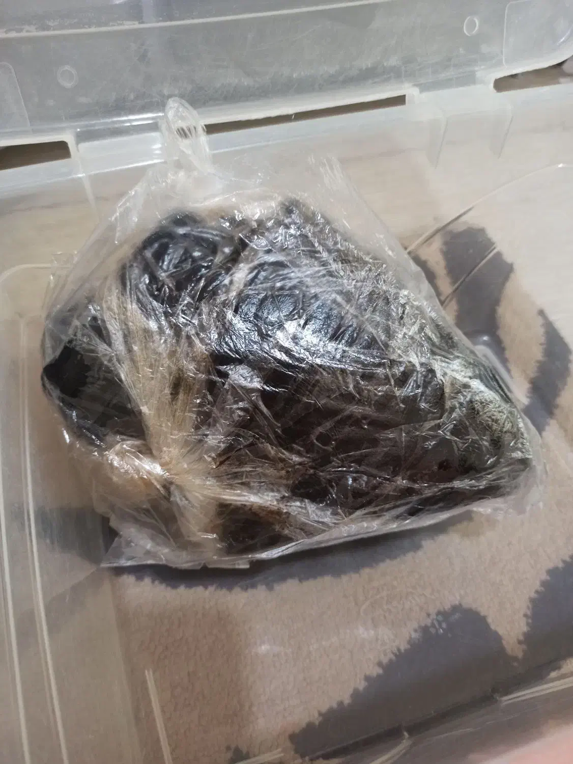 هیزه روغن حیوانی نه کیلویی توافقی|خوردنی و آشامیدنی|سرپل ذهاب, |دیوار