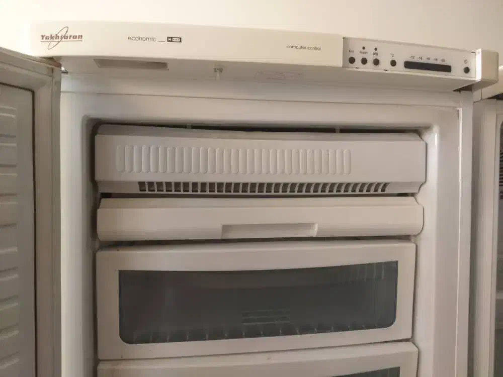 یخچال و یخچال فریزر|یخچال و فریزر|شاهین دژ, |دیوار