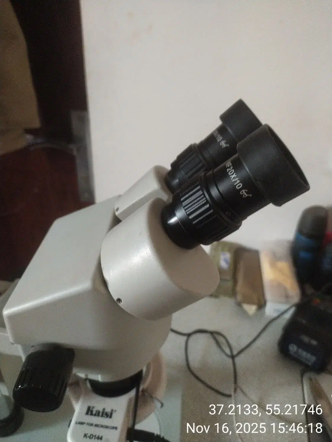 لوپ کایسی|لوازم جانبی موبایل و تبلت|گنبد کاووس, |دیوار