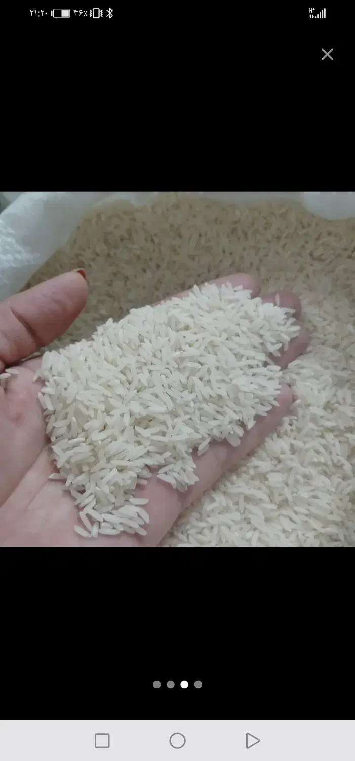 برنج درجه یک هاشمی|خوردنی و آشامیدنی|قدس, شهر‌قدس|دیوار