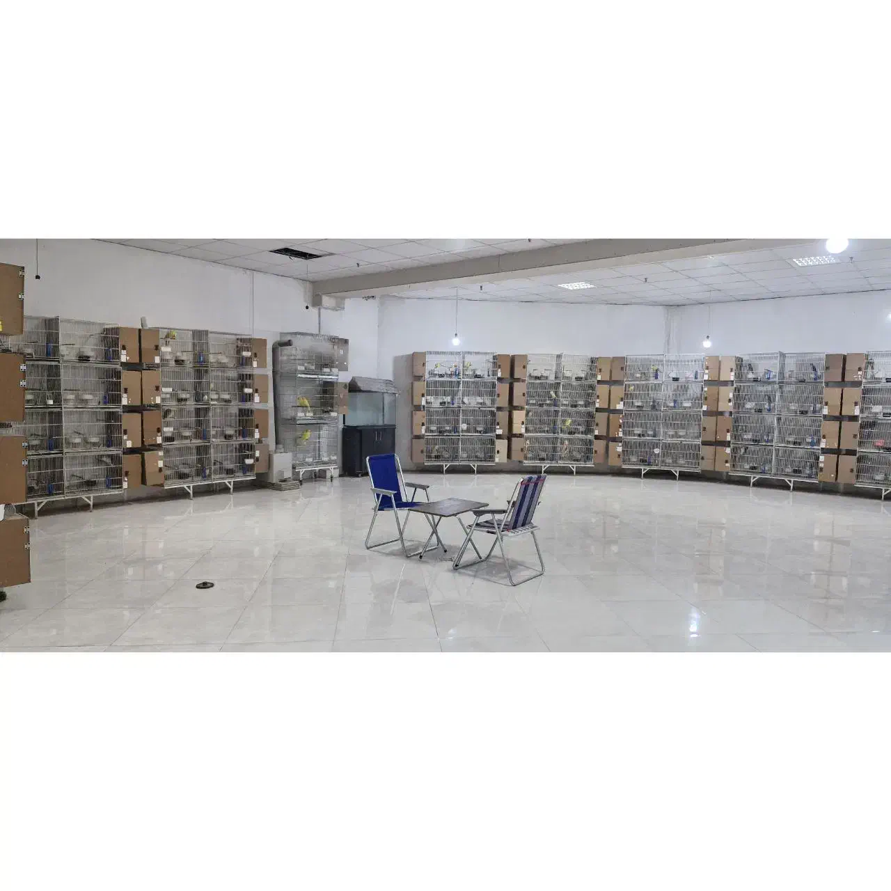 همکار خانم جهت کار در پرورشگاه طوطی|استخدام خدمات فروشگاه و رستوران|مشهد, تربیت (صدف)|دیوار