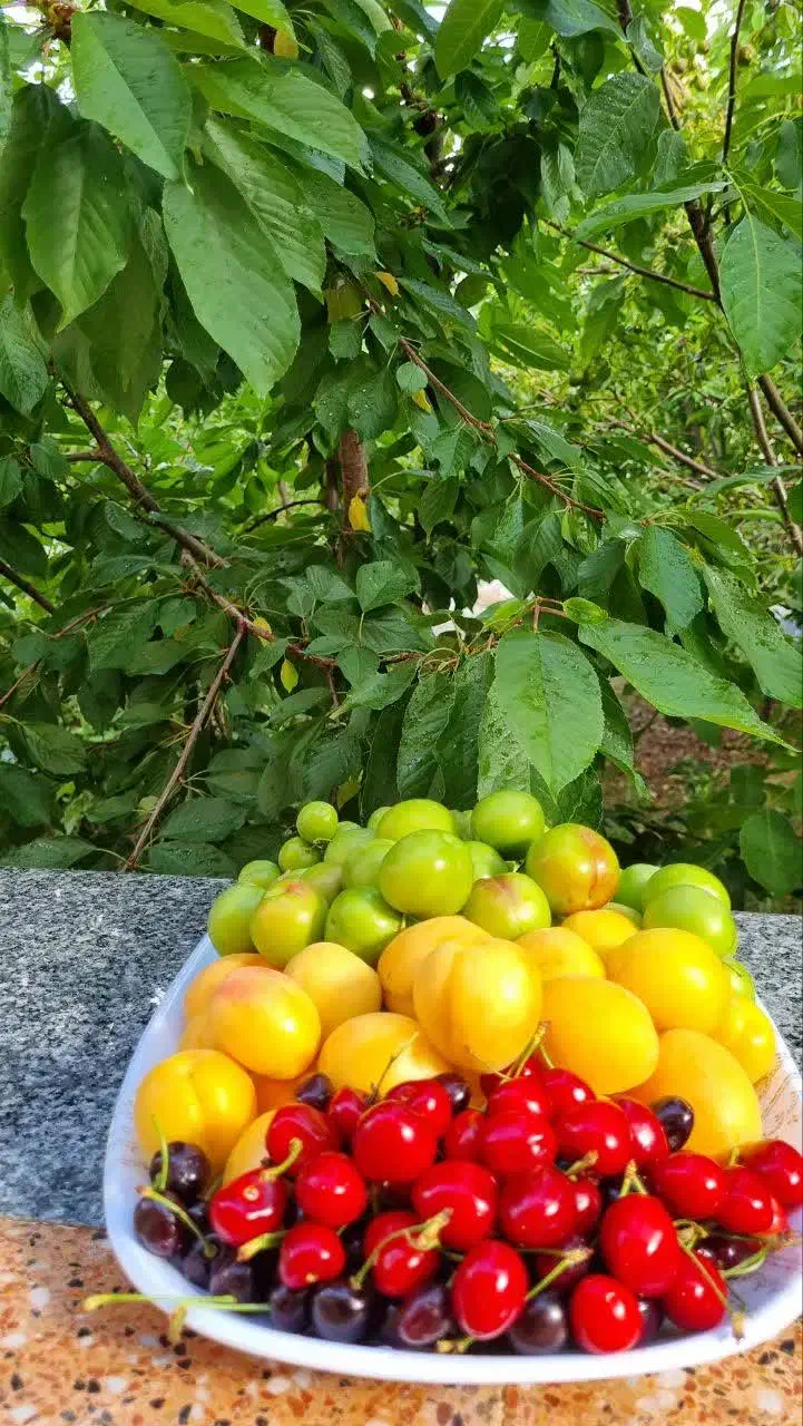 فروش خانه ویلایی ۲۵۰ متری ۲ خوابه روستای ارنان|فروش خانه و ویلا|یزد, |دیوار
