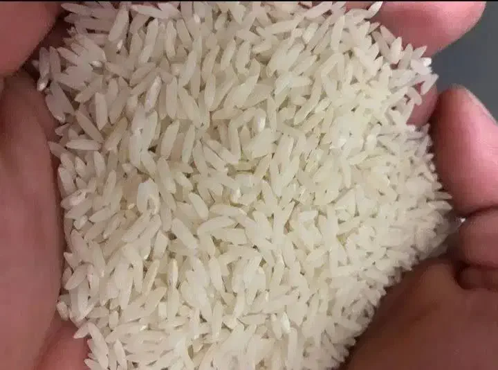 برنج طارم هاشمی درجه یک|خوردنی و آشامیدنی|تربت‌حیدریه, قائم|دیوار