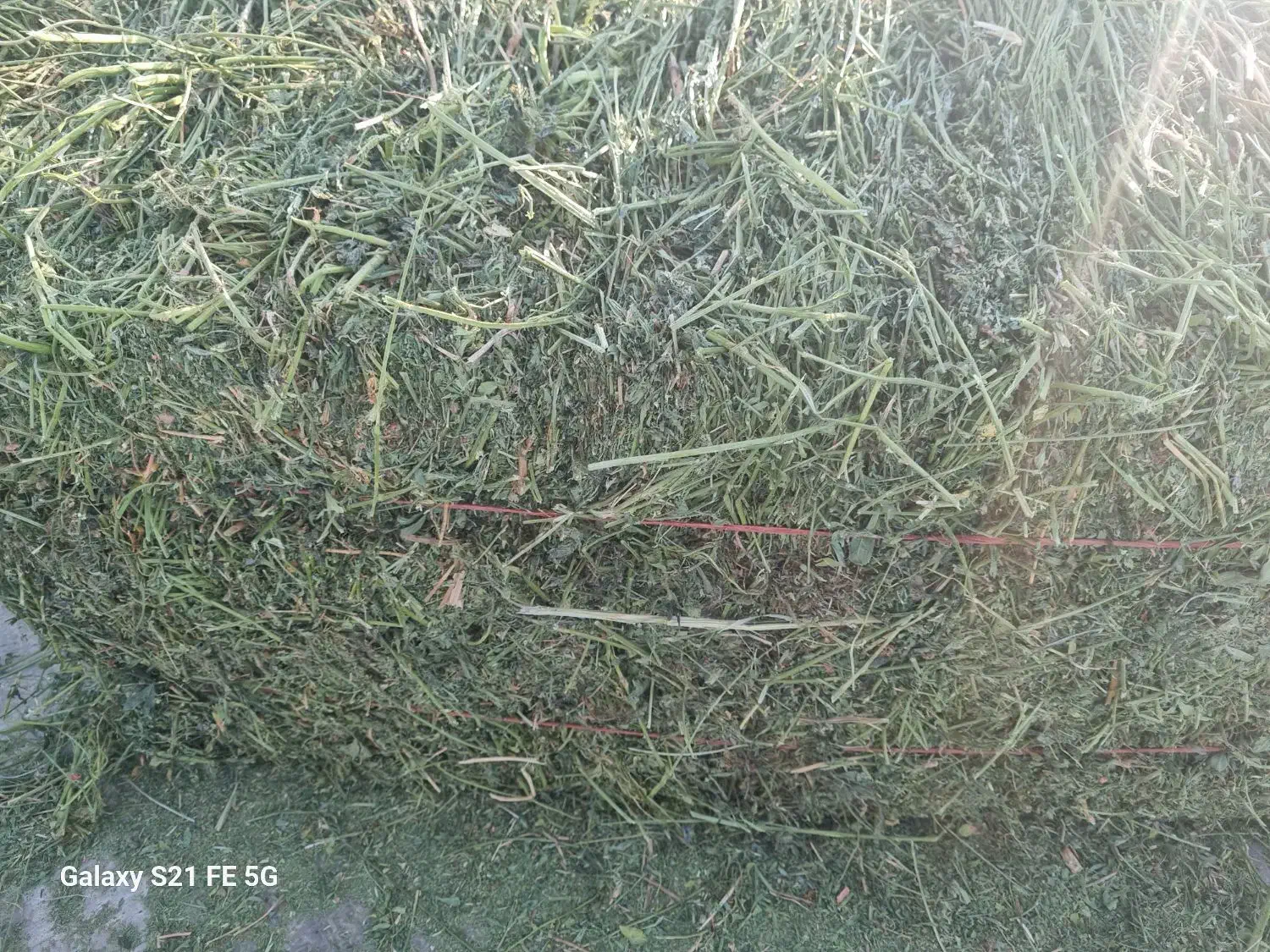 پرس یونجه چین چهار پرگل.وبیست عدد پرس شبدر چین دو|لوازم جانبی حیوانات|بروجرد, |دیوار