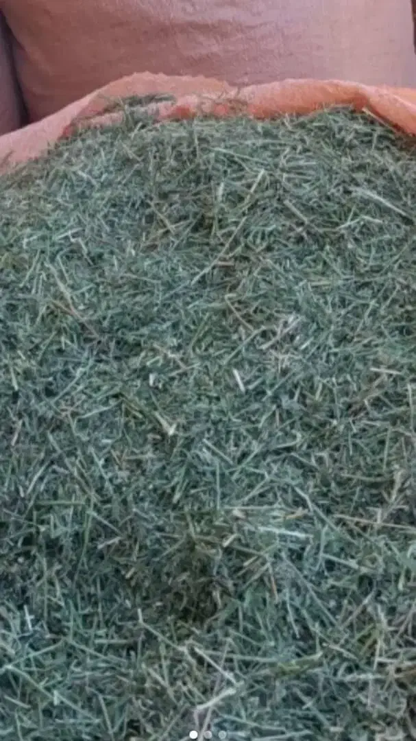 یونجه و کاه گندم|خدمات باغبانی و درختکاری|مرودشت, محمد آباد|دیوار