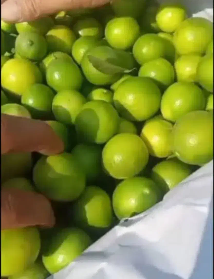 لیمو ترش درجه یک|خوردنی و آشامیدنی|بندرعباس, |دیوار