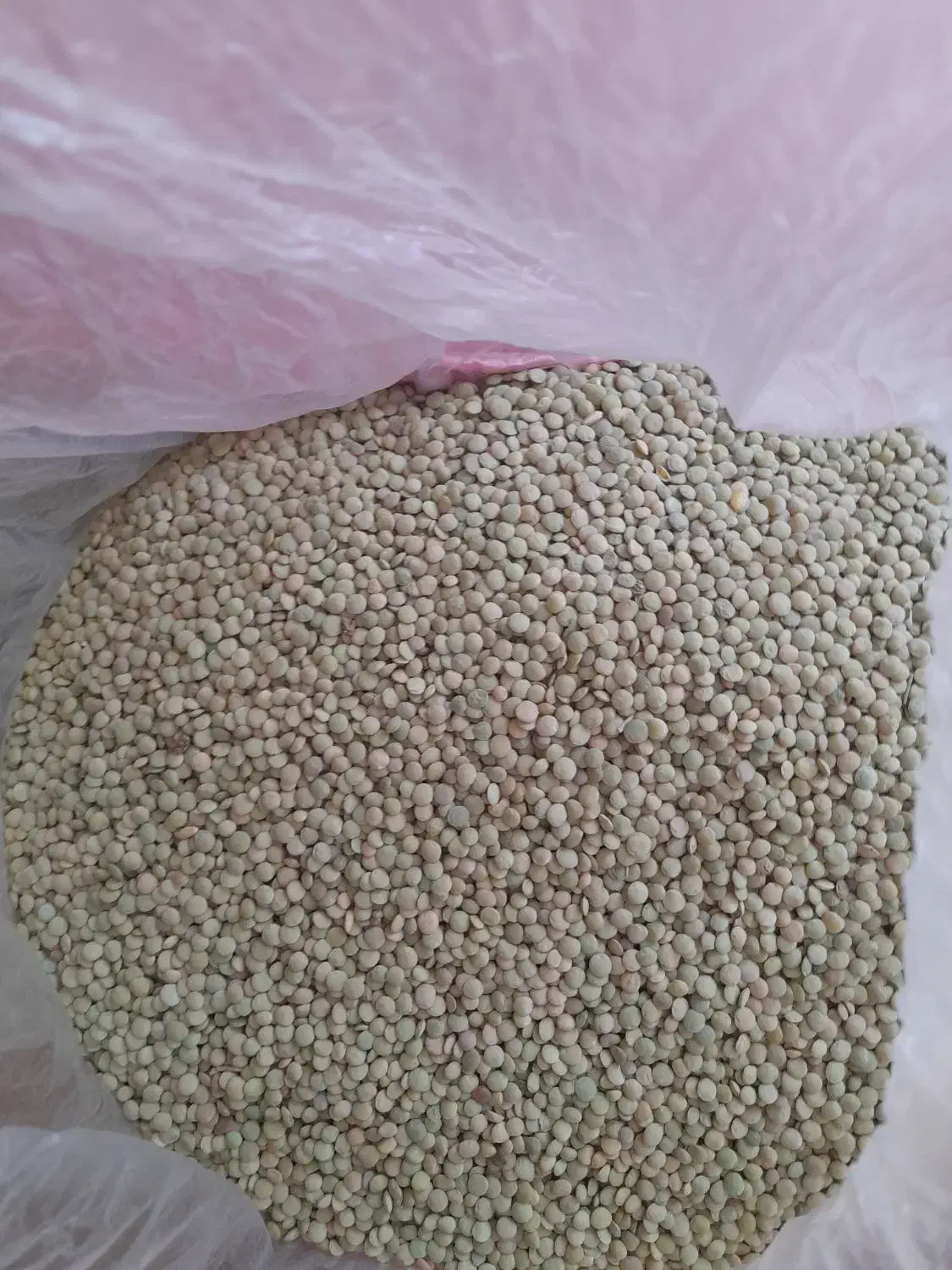 حبوبات|خوردنی و آشامیدنی|ایجرود, |دیوار