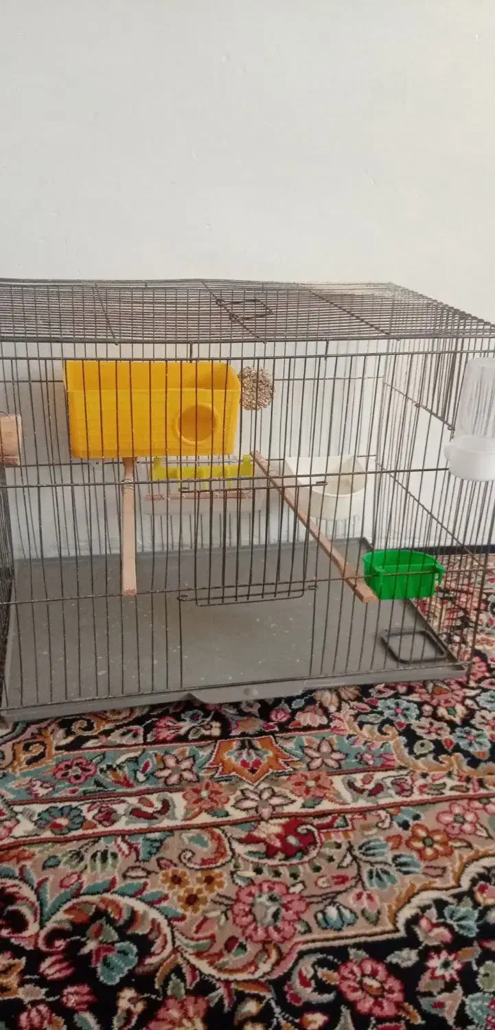 قفس پرنده وعروس هلندی|لوازم جانبی حیوانات|کرمان, |دیوار