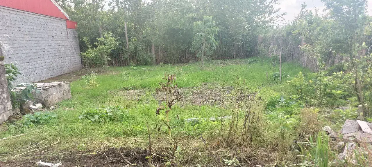 زمین مسکونی|فروش زمین و ملک کلنگی|آستانه اشرفیه, |دیوار