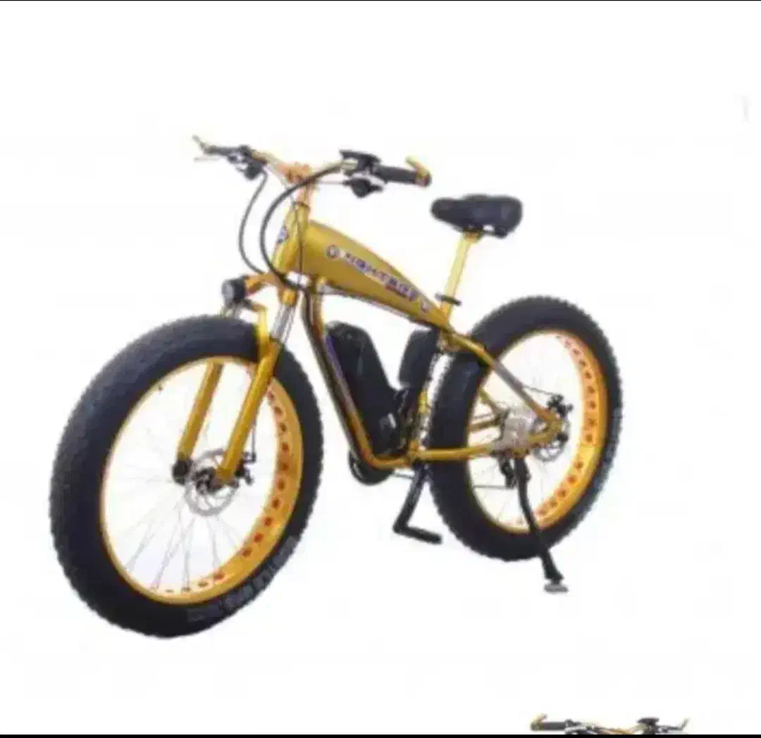 دوچرخه برقی حرفه ای زیر قیمت|دوچرخه، اسکیت، اسکوتر|گرمدره, |دیوار