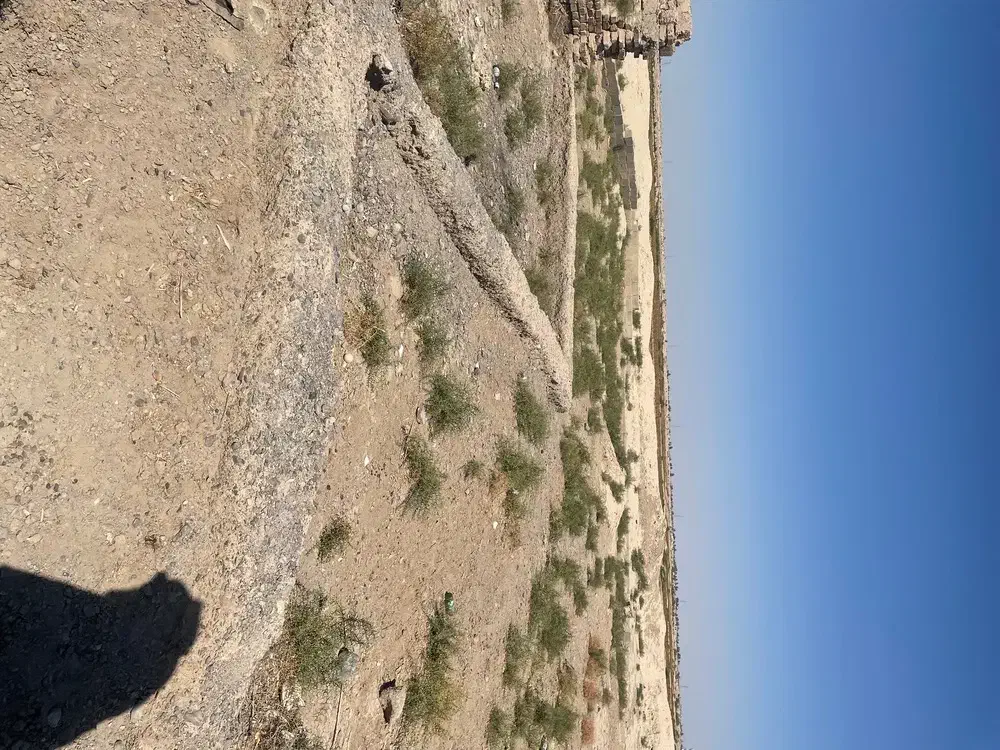 زمین فروشی تجاری و مسکونی شهرک گلخانی|فروش زمین و ملک کلنگی|صابری, |دیوار