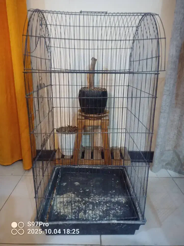 قفس عروس هلندی و قناری و وسایل سگ و گربه|لوازم جانبی حیوانات|کرج, حسن آباد|دیوار