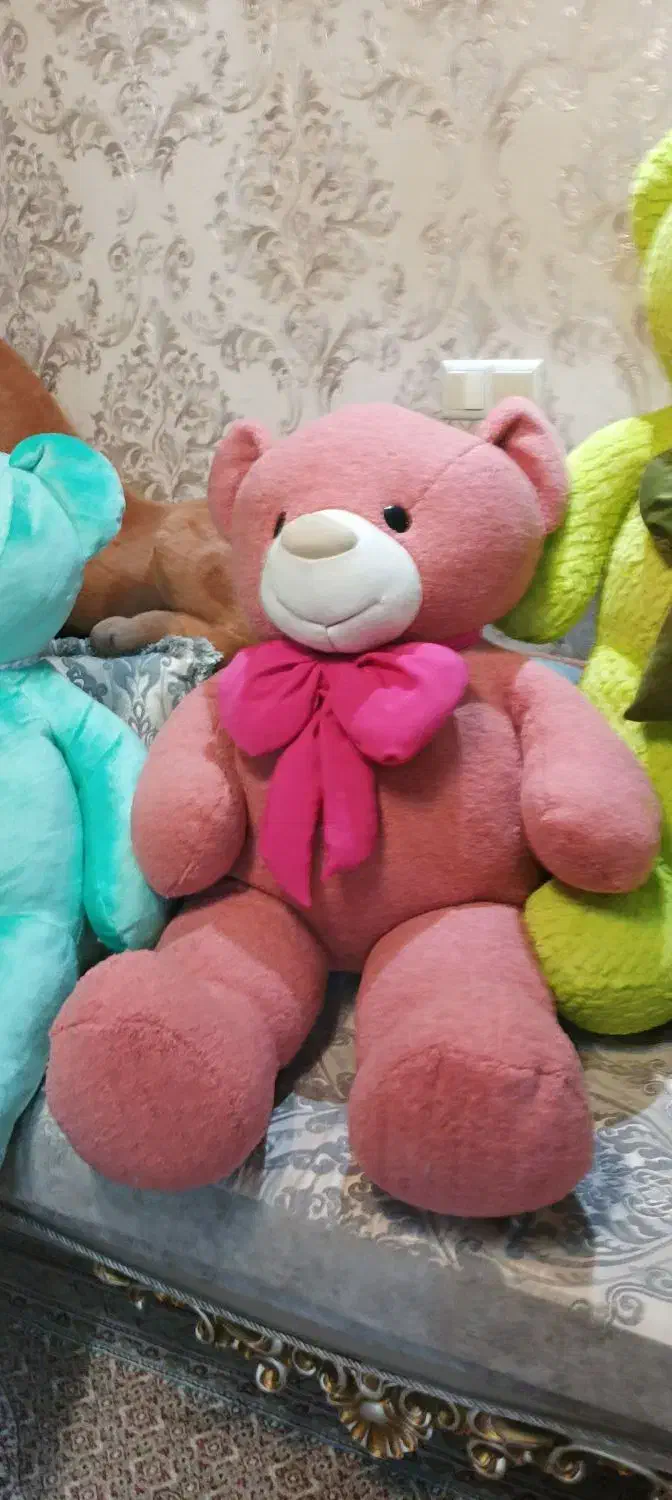 خرس|اسباب‌‌بازی|اردبیل, |دیوار