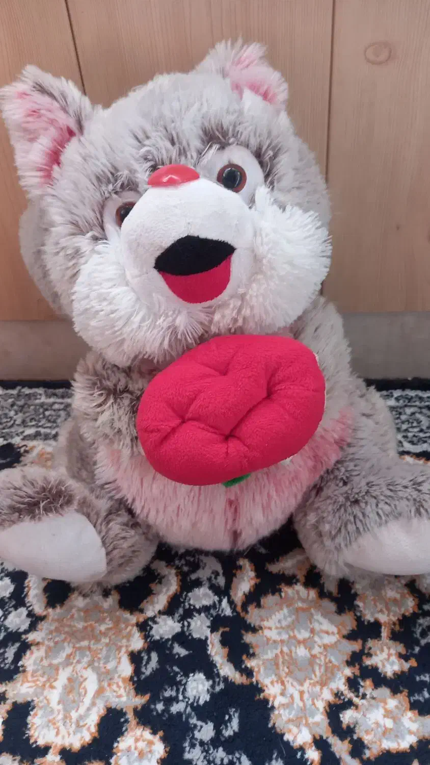 سنجاب پشمی|اسباب‌‌بازی|مشهد, سرافرازان|دیوار