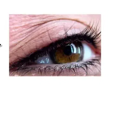 خواهان مدل برای خدمات ارایش دایم برای زمان محدود|خدمات آرایشگری و زیبایی|بوکان, |دیوار