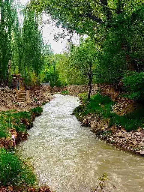 مسافرت|فعالیت داوطلبانه|شهرضا, |دیوار
