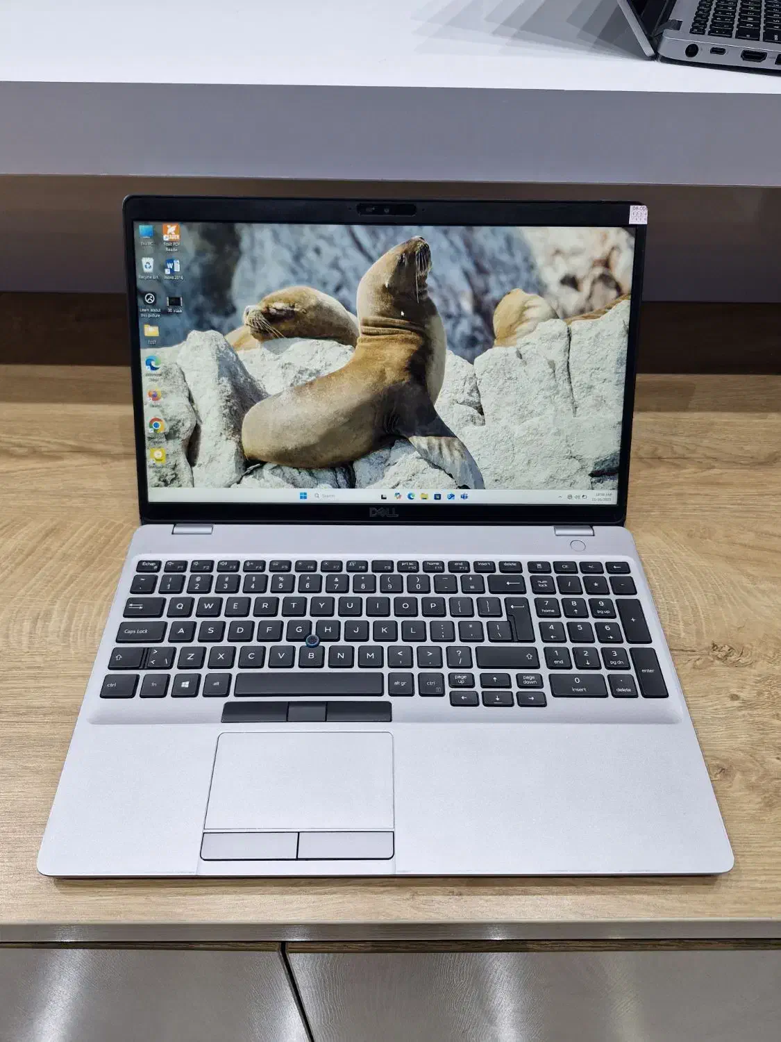 لپ تاپ دل با cpu i5 نسل ۱۰|رایانه همراه|بجنورد, |دیوار