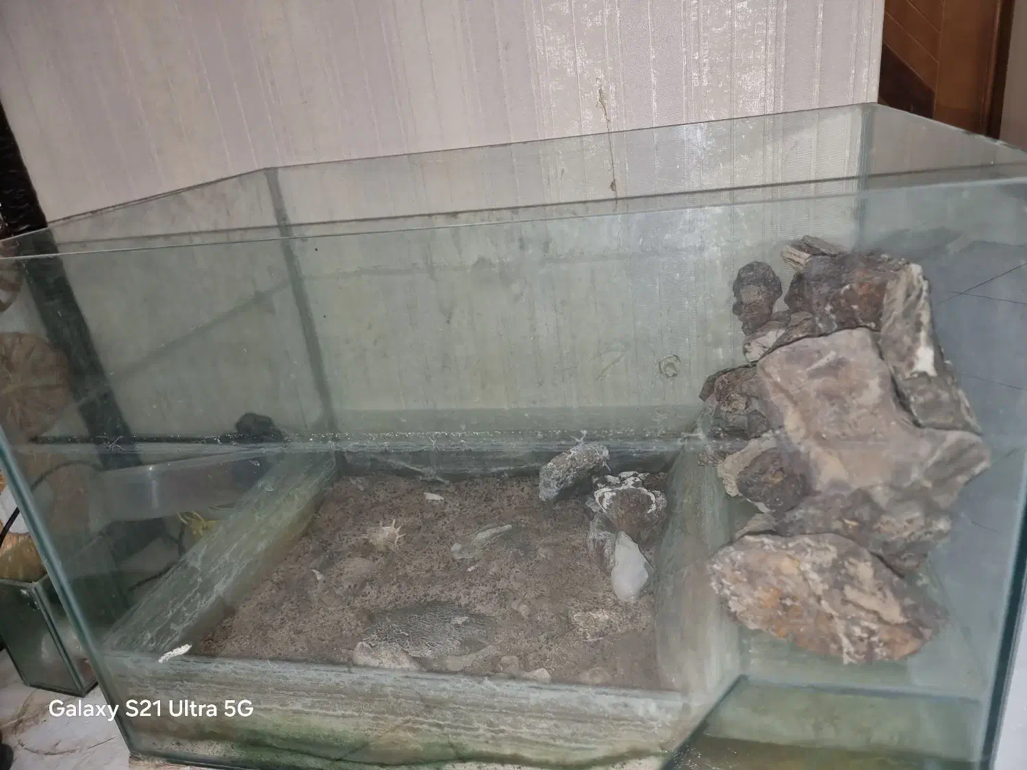 آکواریوم 1×./۵شیشه 6میل|لوازم جانبی حیوانات|مشهد, نیروی هوایی|دیوار