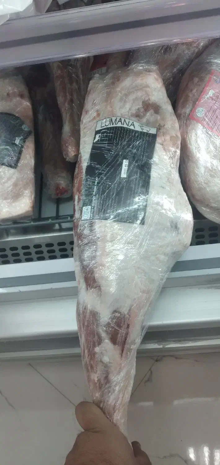 گوشت منجمد وارداتی گوسفندی|حراج|کرمان, |دیوار