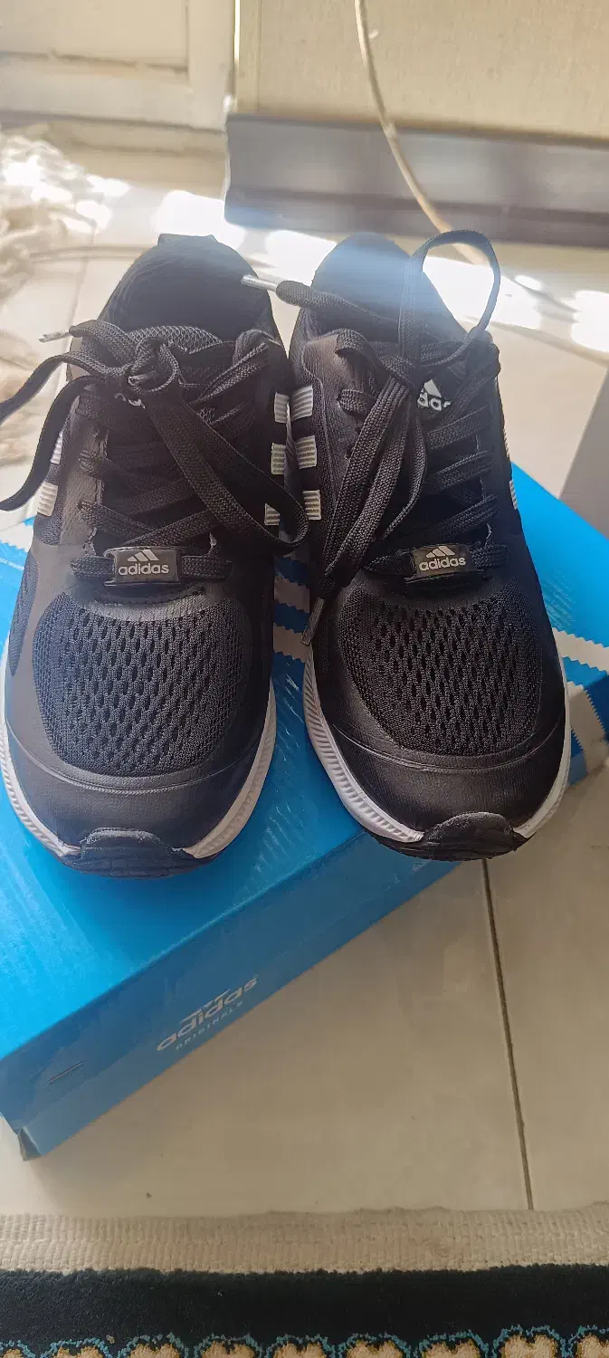 کفش اسپرت ورزشی آدی داس|کیف، کفش، کمربند|شیراز, دکتر حسابی|دیوار