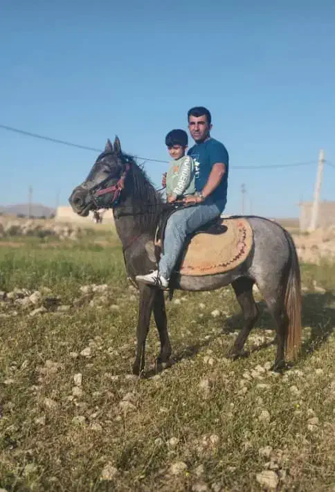 اسب،مادیان|اسب و تجهیزات اسب‌سواری|اهواز, زیتون کارمندی|دیوار