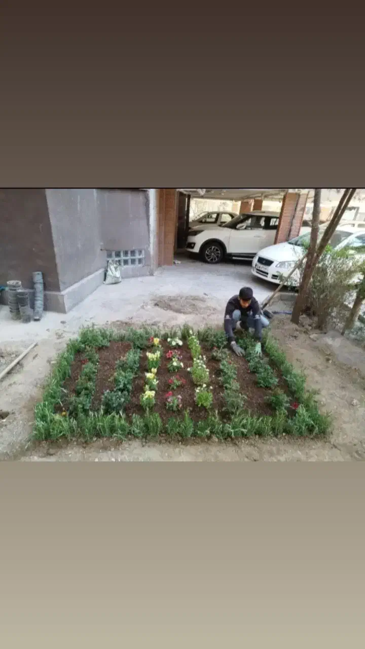 گل کاری وباغبانی هرس کاری وپابیل کردن|خدمات باغبانی و درختکاری|قم, مصلاء|دیوار