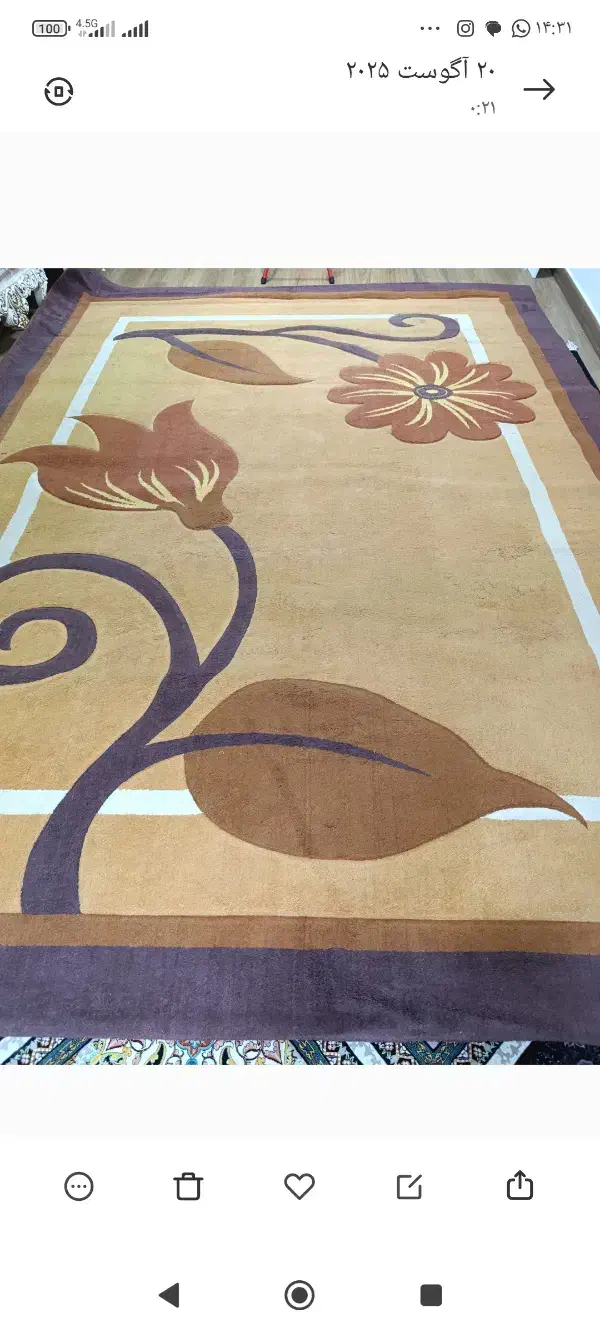 گلیم فرش دوازده متری|گلیم، جاجیم، گبه|ساری, |دیوار