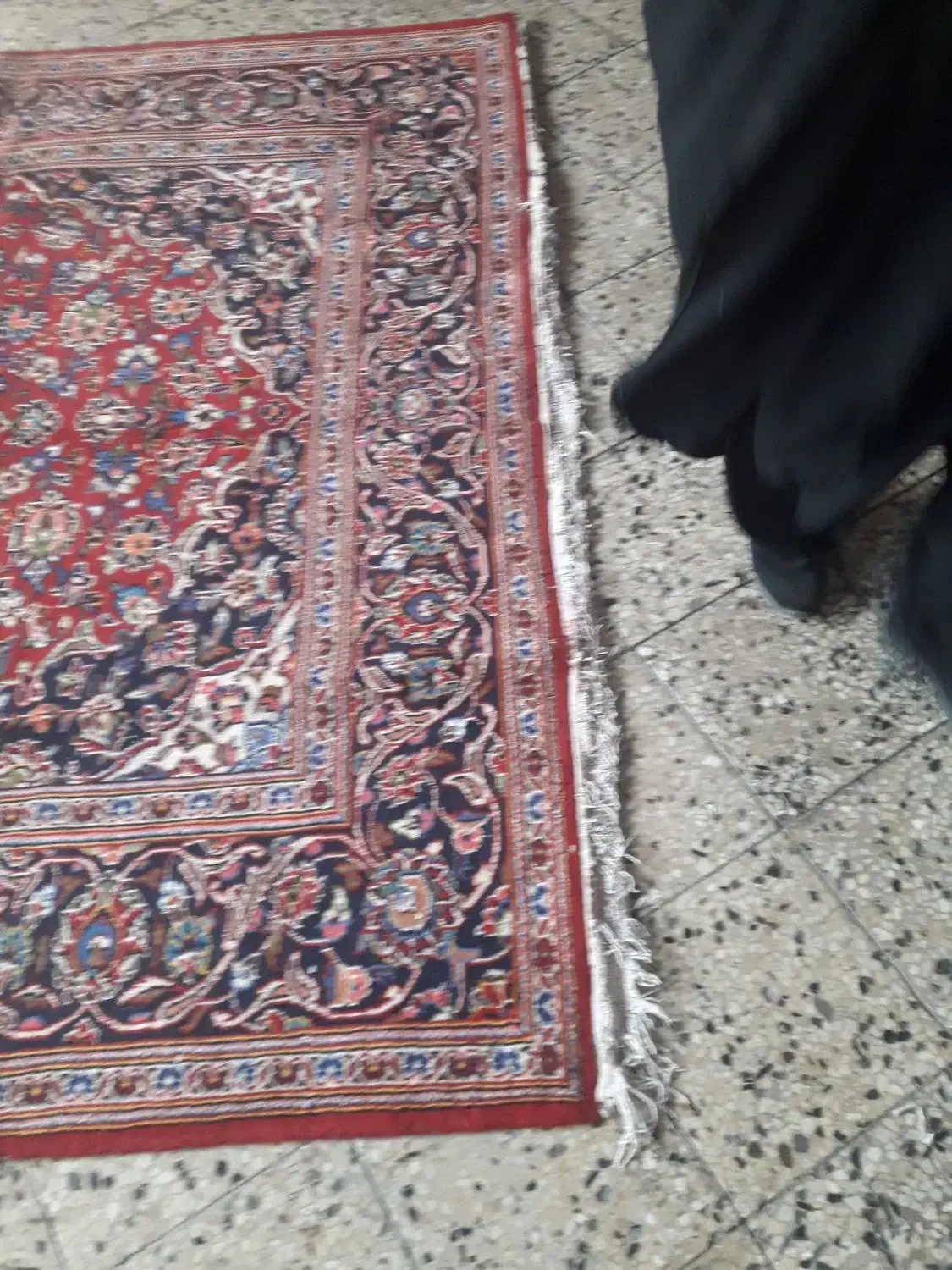 ۶ متری اردکان ریشه اصلی|فرش|تهران, بازار|دیوار