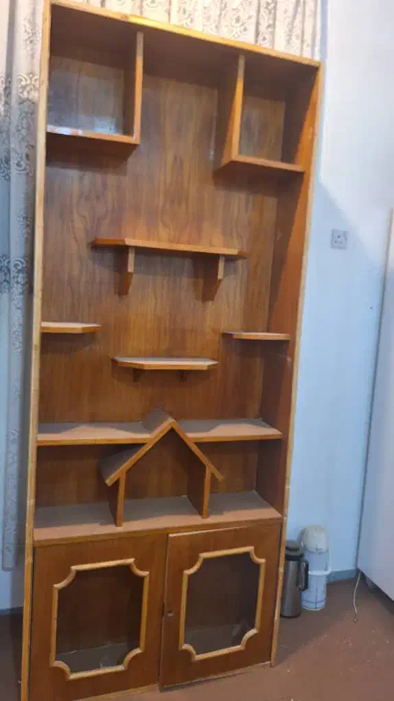 کتابخانه|کتابخانه، شلف، قفسههای دیواری|سوسنگرد, |دیوار