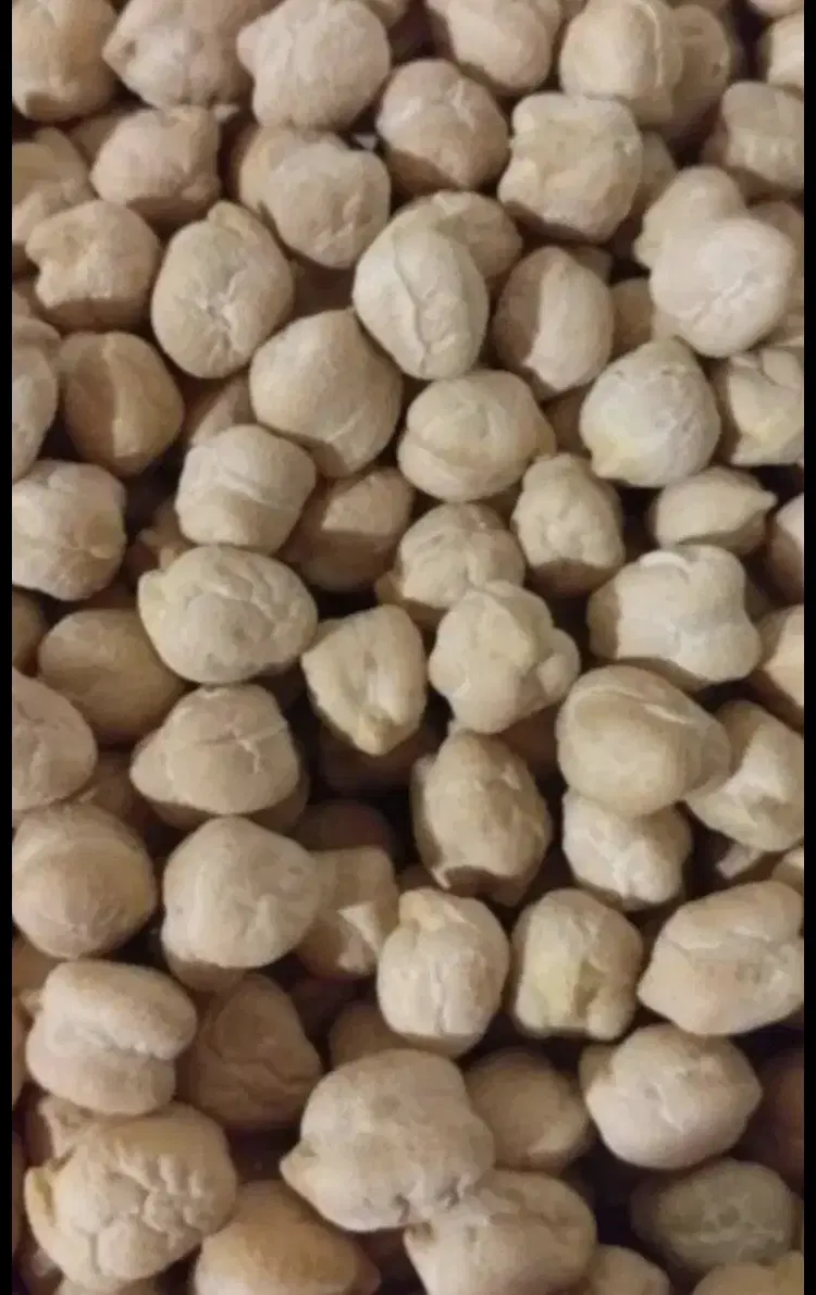 نخود|خوردنی و آشامیدنی|اسلام‌‌آباد غرب, |دیوار
