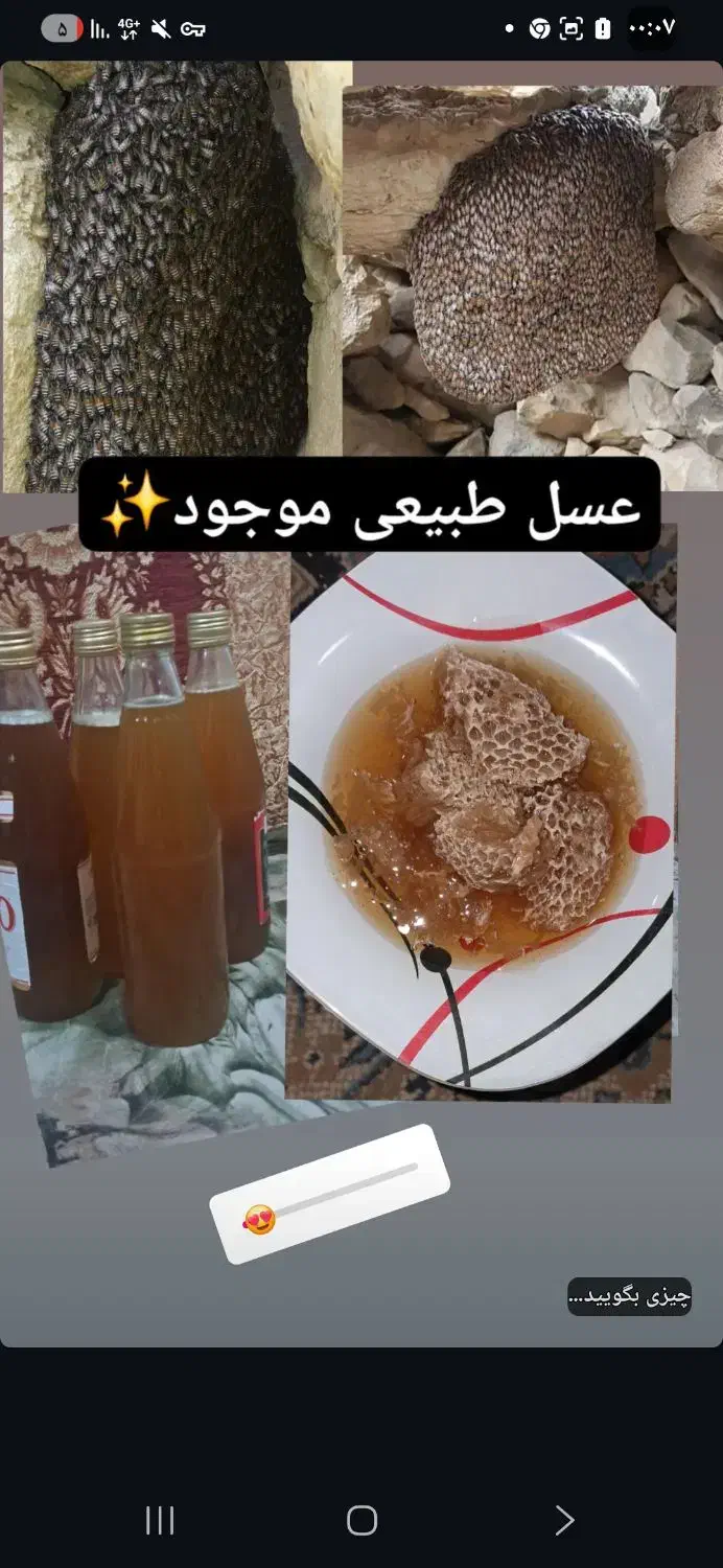 عسل|خوردنی و آشامیدنی|بیرم, |دیوار