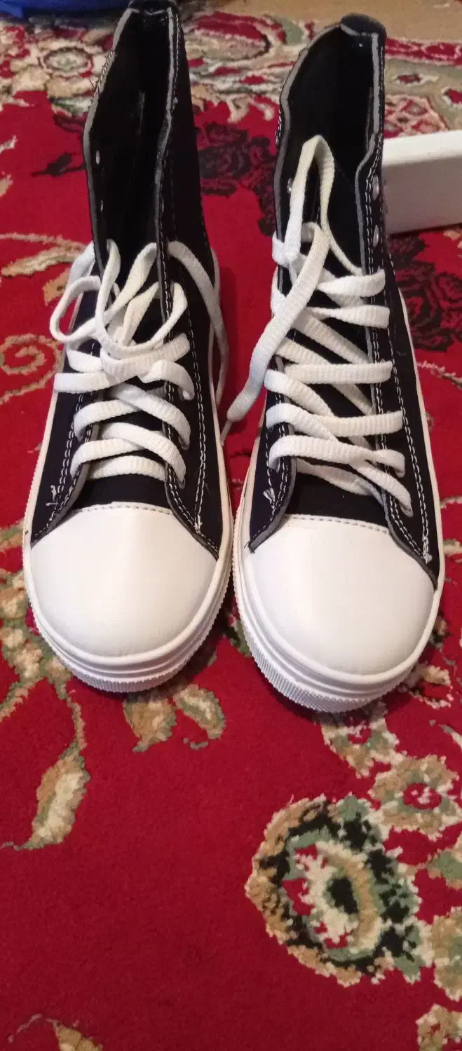 دوجفت کفش|کیف، کفش، کمربند|لردگان, |دیوار