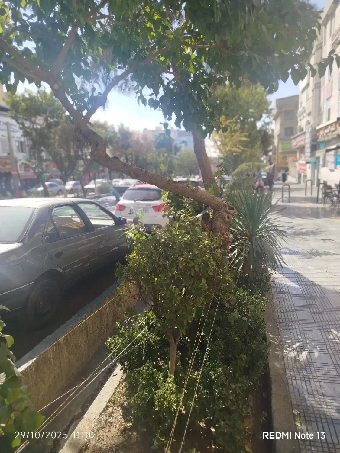 بی‌نظیرترین لوکیشن تهرانپارس ۶۰ م بر اصلی تیرانداز|اجارهٔ مغازه و غرفه|تهران, تهرانپارس غربی|دیوار