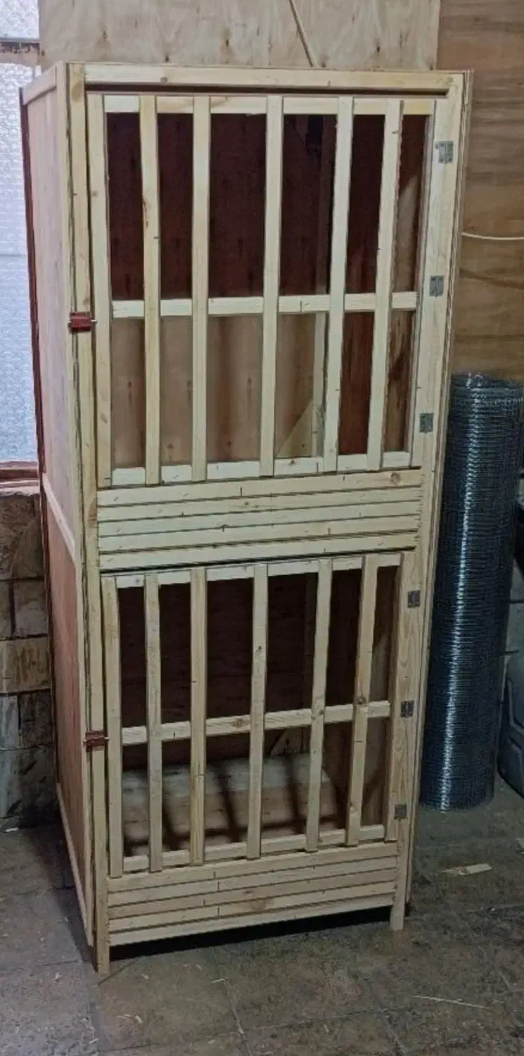 قفس . گنجه . جفتکن|لوازم جانبی حیوانات|ساوه, |دیوار