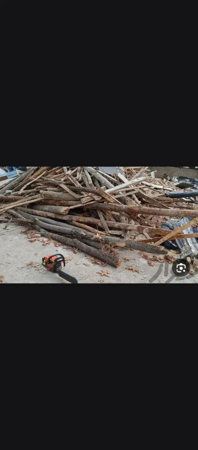 چوب|خدمات باغبانی و درختکاری|مشگین شهر, |دیوار