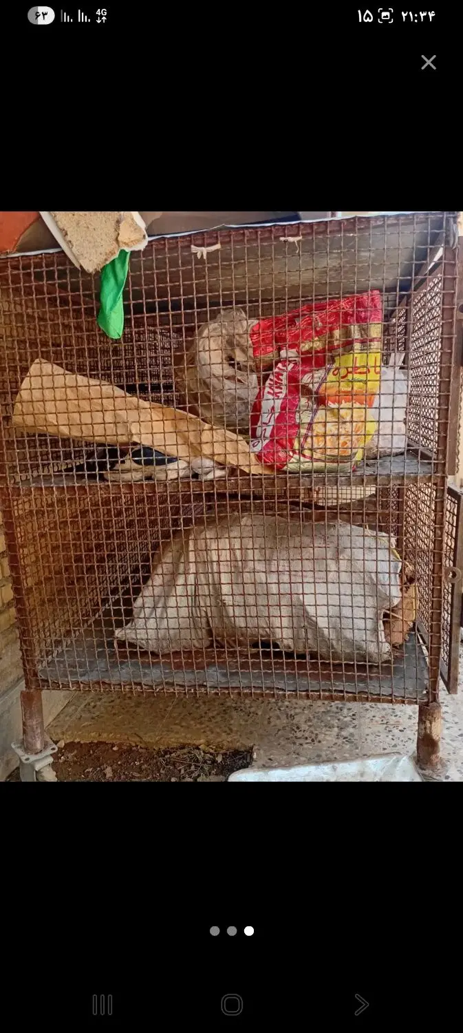 قفس|لوازم جانبی حیوانات|ایذه, |دیوار