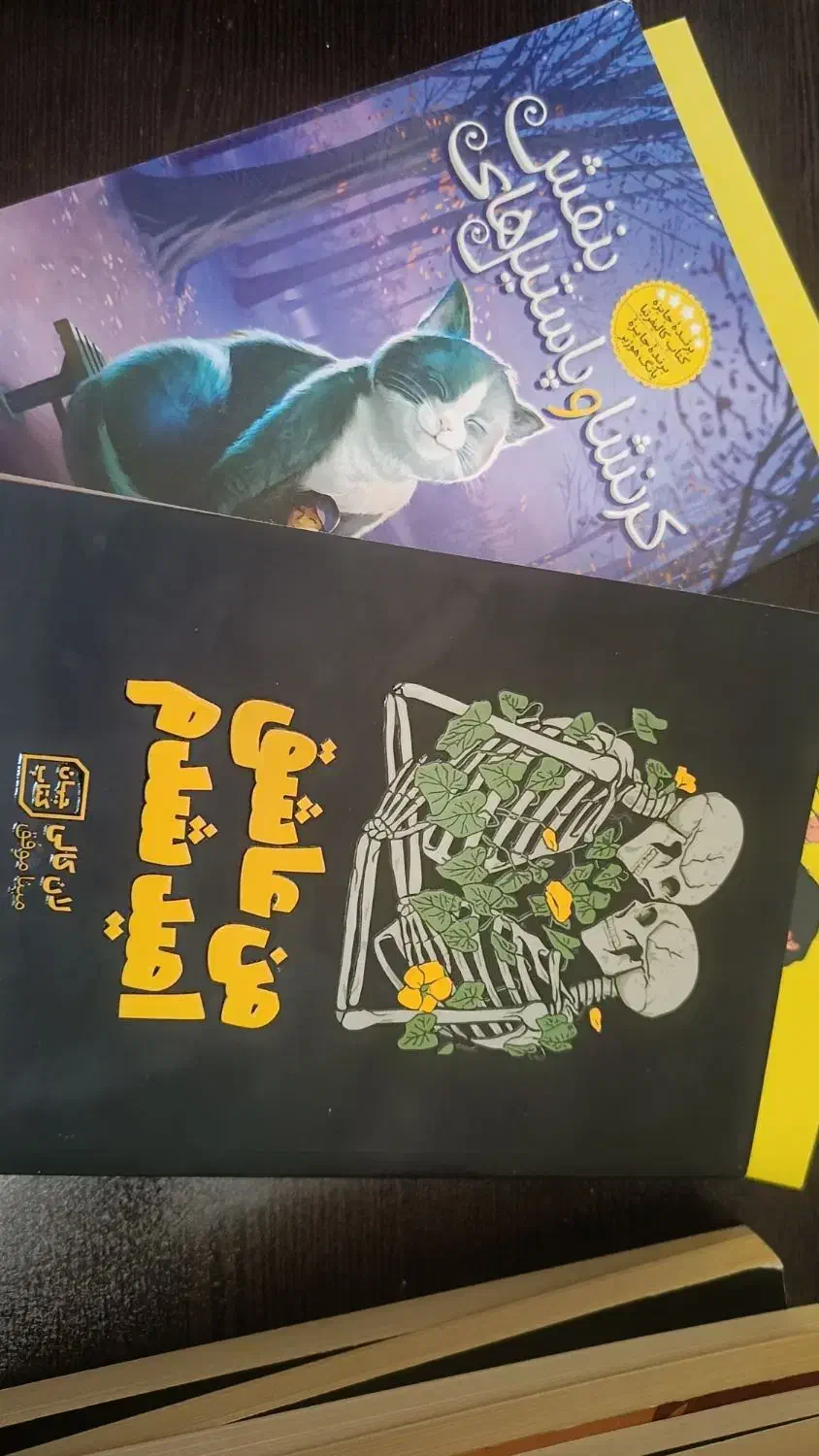 کتاب|کتاب و مجله ادبی|نسیم‌شهر, |دیوار