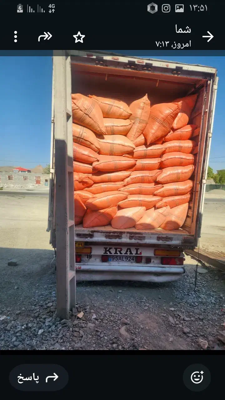 کاه گندم|عمده‌فروشی|نیک شهر, |دیوار