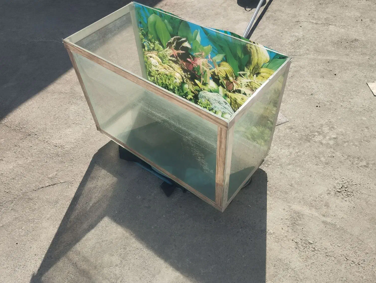 آکواریوم|ماهی|بهشهر, |دیوار