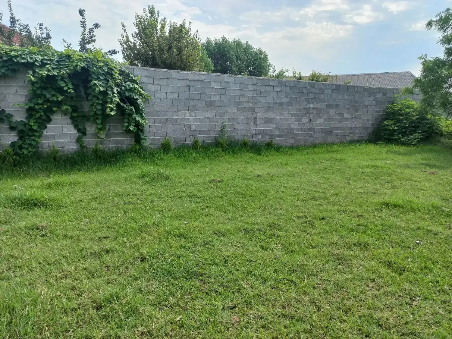 فروش فوری ۲۴۲۵متر زمین مسکونی با مدارک کامل اوقافی|فروش زمین و ملک کلنگی|سنگر, |دیوار