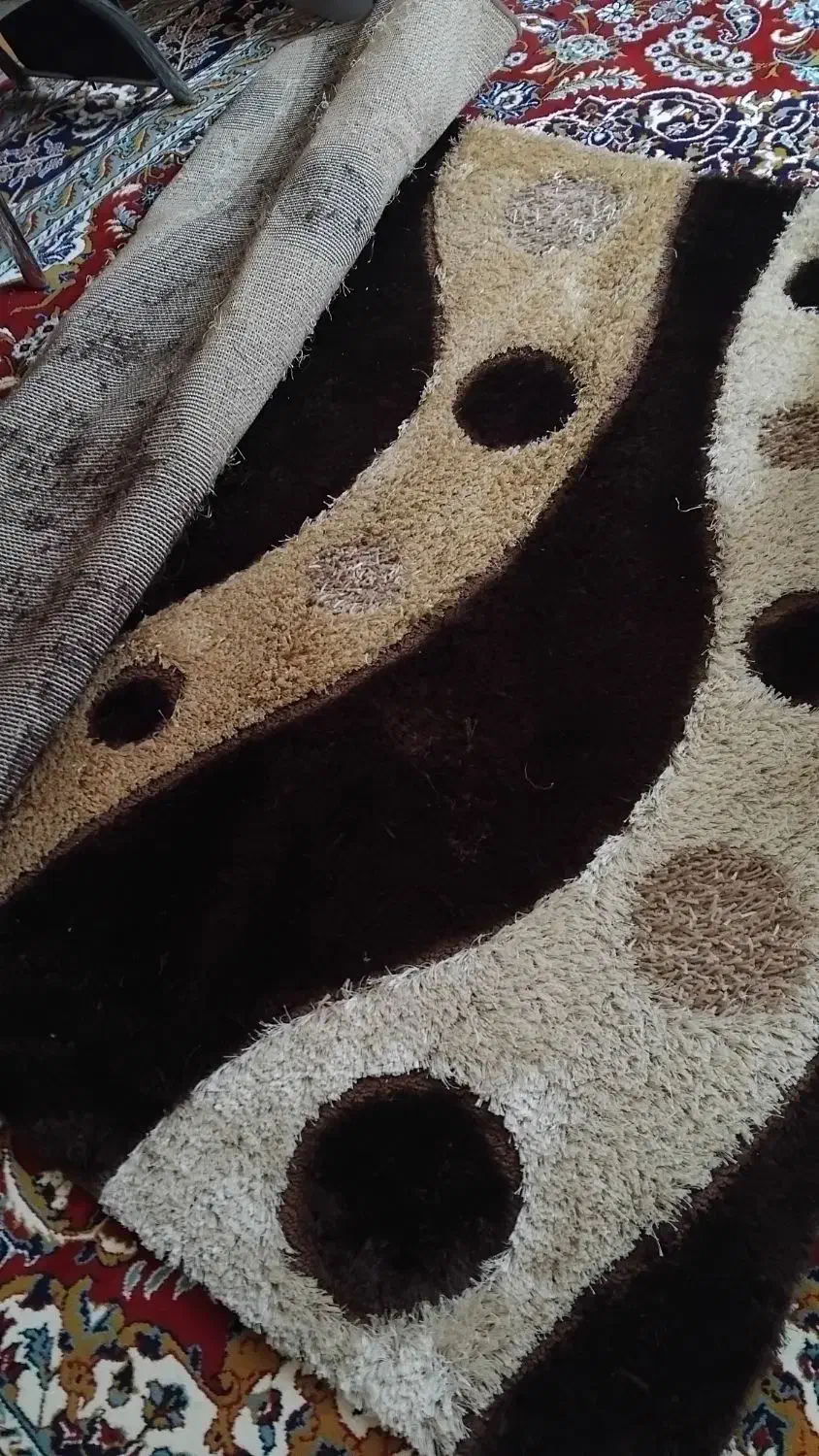 فرش فانتزی نو|فرش|نیشابور, شهرک پردیس|دیوار