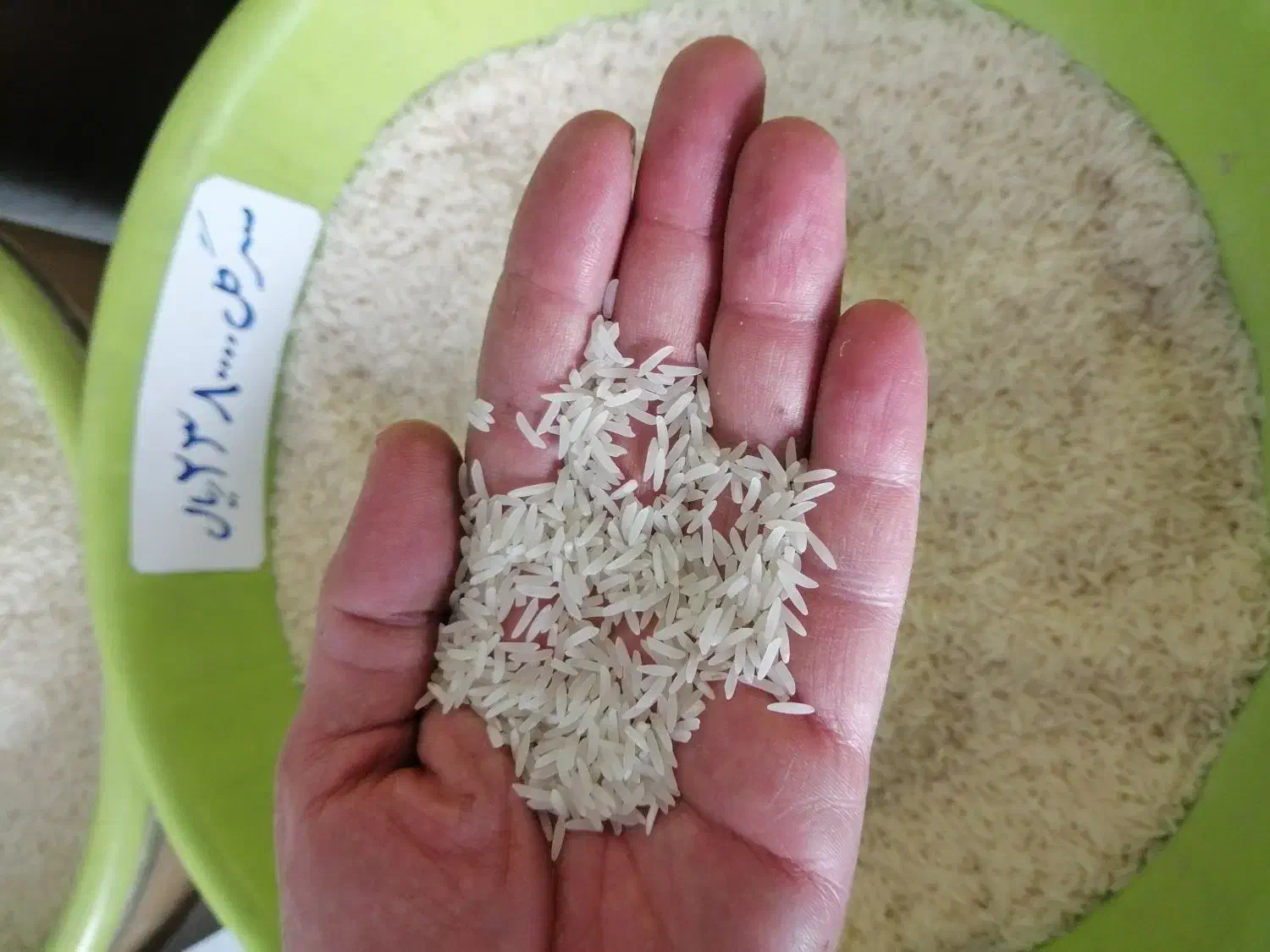 برنج سرگل|خوردنی و آشامیدنی|کرج, کیانمهر|دیوار