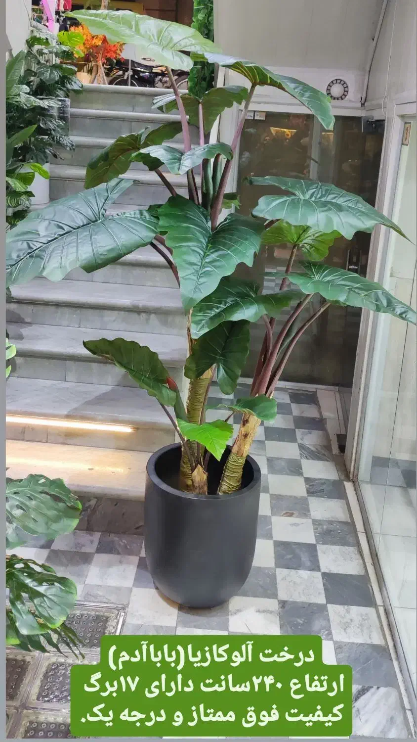 مرکز پخش گل و گیاه مصنوعی ابریشم قم|گل مصنوعی|قم, باجک یک|دیوار