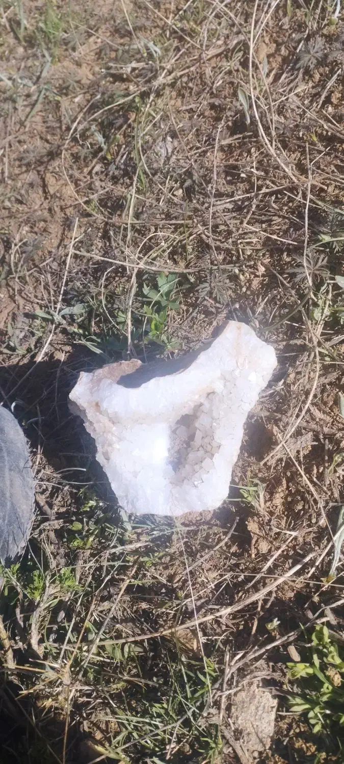 کوارتس زیبا|کلکسیون و سرگرمی|نختالو, |دیوار