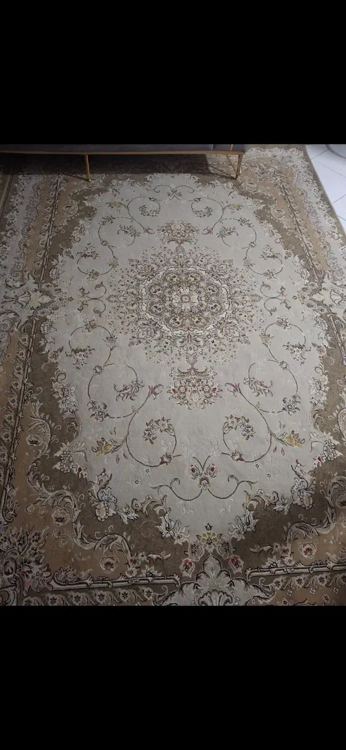 فرش ۶متری|فرش|قزوین, |دیوار